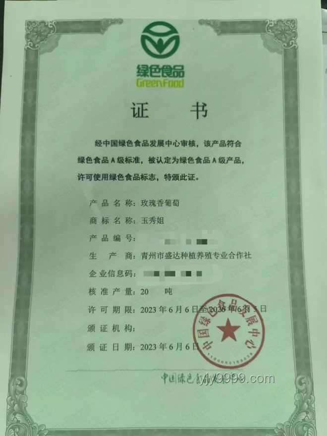 揭秘印度甜品工厂：如何通过印度食品标准局认证